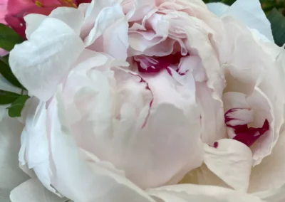 Artisan fleuriste professionnel à Sassenage