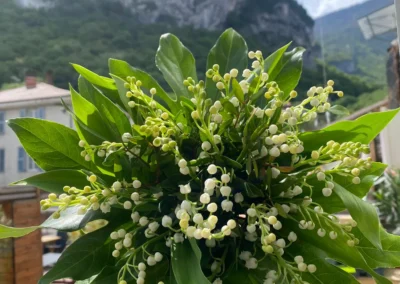 Fleurs pour occasions spéciales à Sassenage