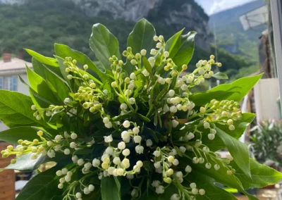 Fleurs pour occasions spéciales Sassenage