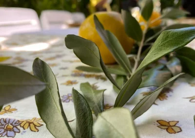 Fleurs de saison Sassenage