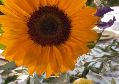 Fleurs pour événements Sassenage